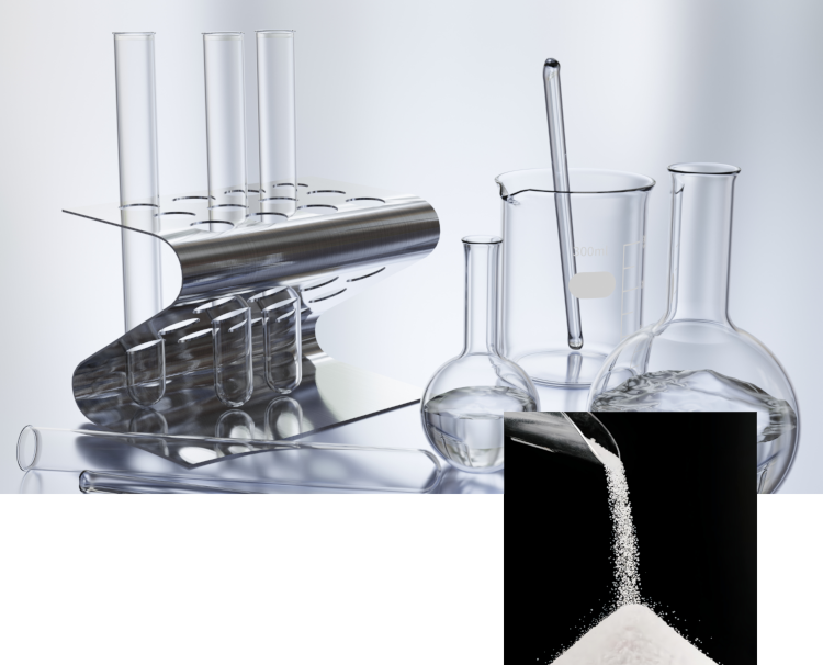 成分複合相乗効果の探究