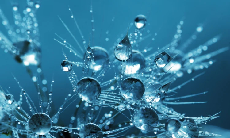 特殊冷凍技術開発(ハイパーフローズン)