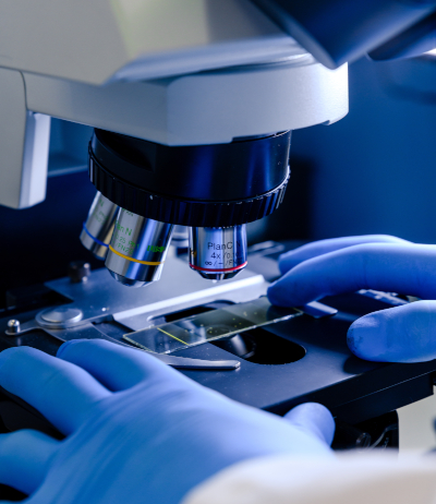 CBL製作イメージ