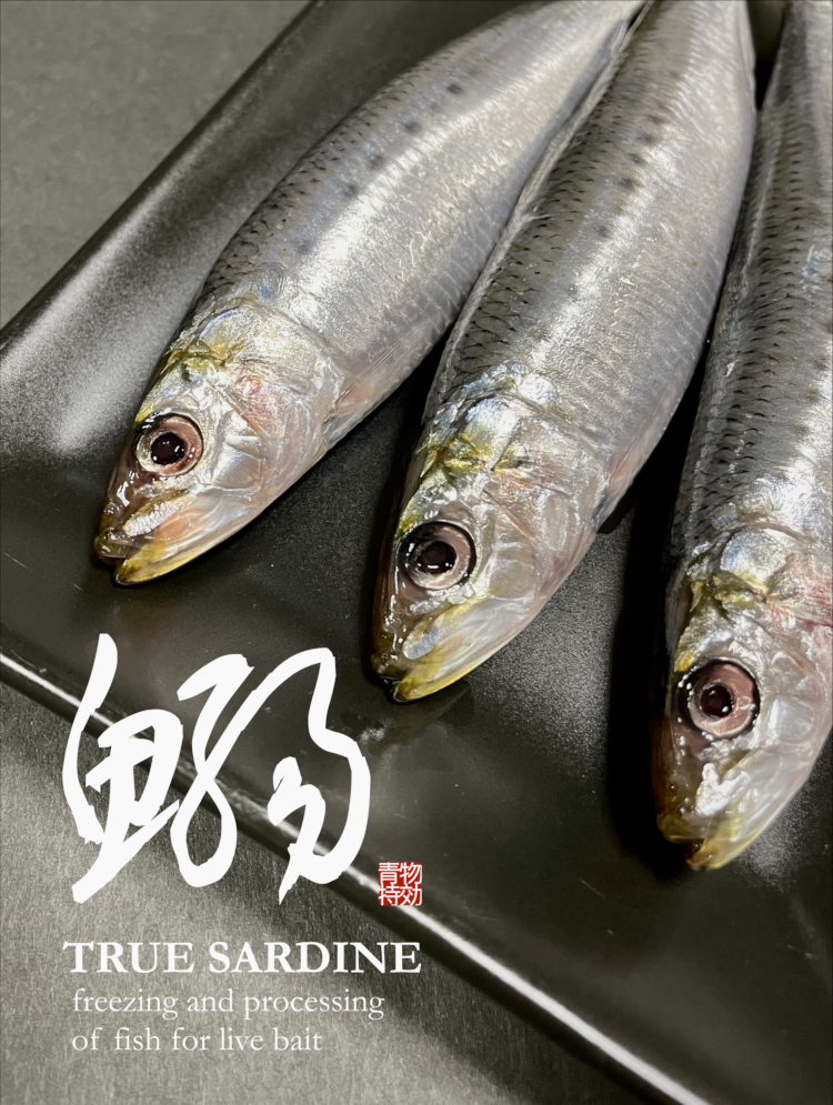 HYPER FROZEN まいわし