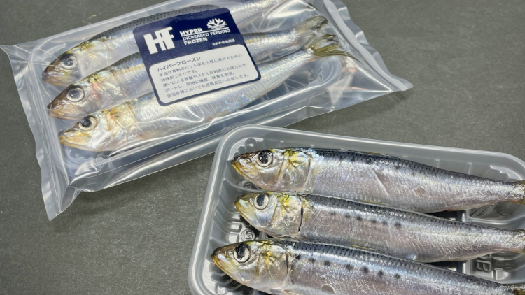 HF鰯（いわし）パック