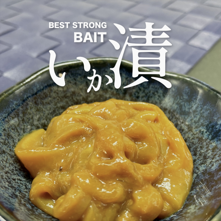 いか漬｜海上釣堀エサ 真鯛用