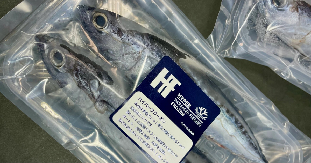 HF鰯（いわし）｜HYPER FROZEN｜青物｜海上釣堀用釣りエサ SFPB公式
