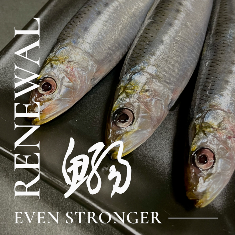 HFまいわし｜海上釣堀エサ 青物