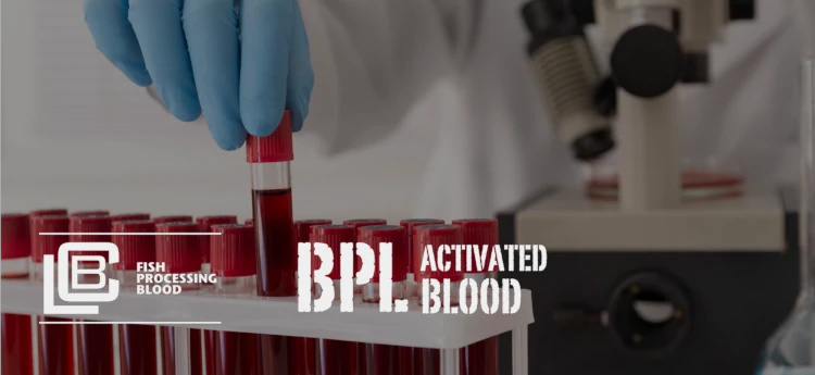 誘引増進血液加工の開発