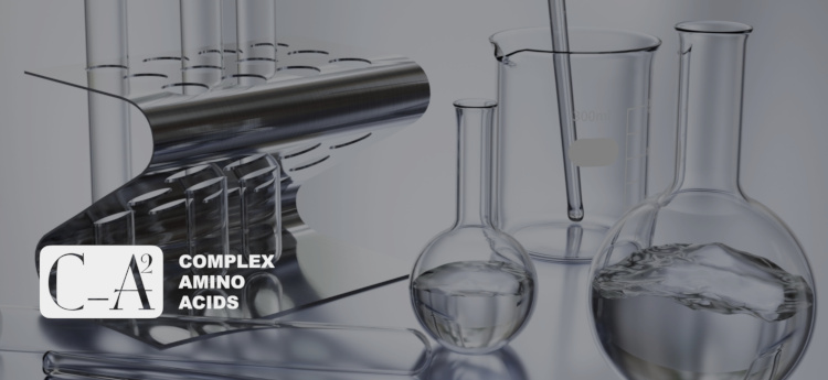 成分複合相乗効果の探求